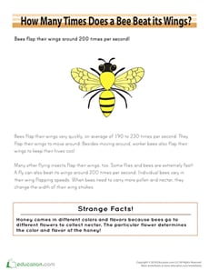 Bee Sudoku