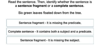Complete Sentences vs. Fragments 2