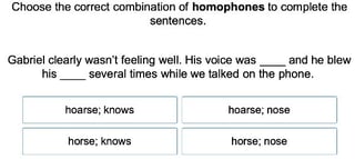 Homophones 3