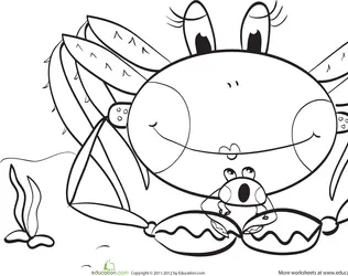 Color the Sea Crab
