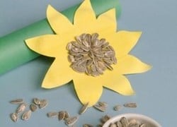 Make a Beautiful Sunflower