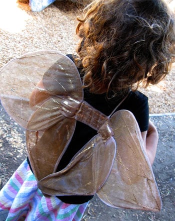 How to Make Fairy Wings