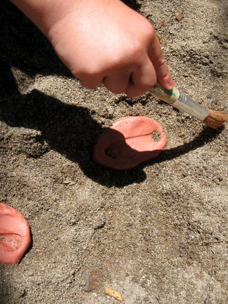 Sandbox Fossil Find