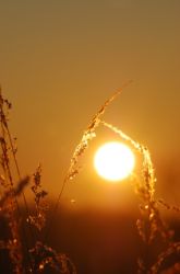 Let The Sun Shine In!