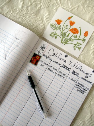 Everyday Darwin: Create a Nature Journal