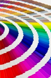 The Color Of Your Heartbeat