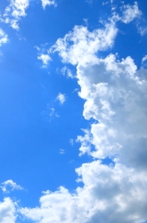 How Much Oxygen is in the Air?