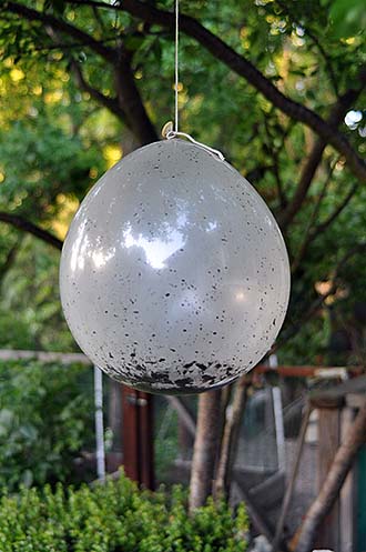 Balloon Greenhouse large image
