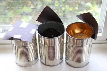 Does Soil Contain Water?