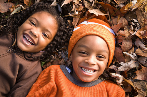 Discover the Colors of Fall