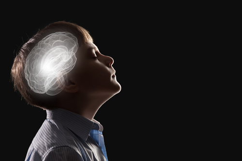 Mindfulness and the Brain