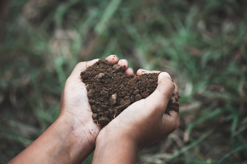 Learning Why and How to Compost