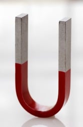 Effect of Magnetism on Regeneration