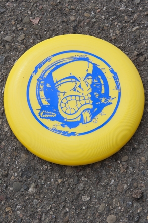 Play Frisbee Golf