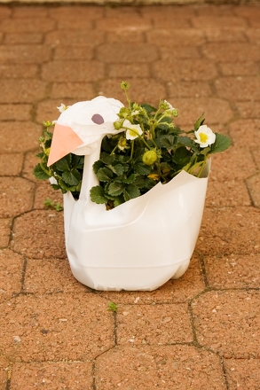 Craft a Swan Plant Container