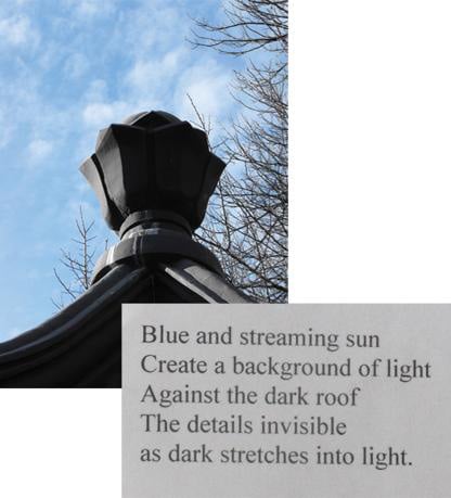 Tanka Poem