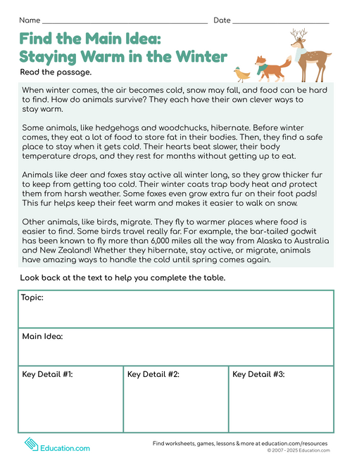 Third Grade Winter Break Packet | Workbook | Education.com