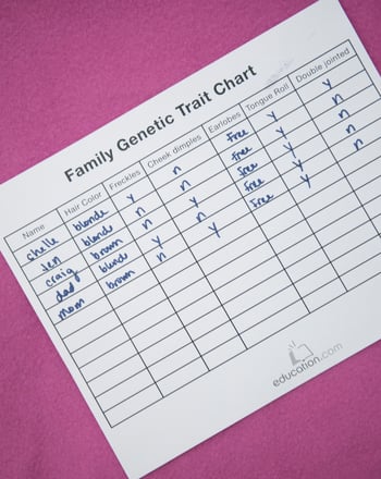 Explore Genetics by Finding Family Traits!