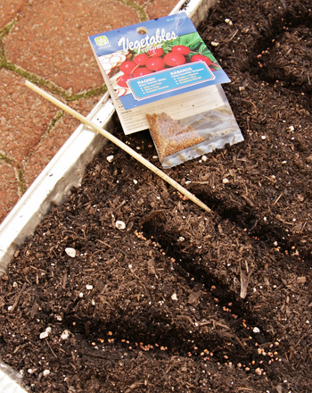 Plant Your Name with Seeds