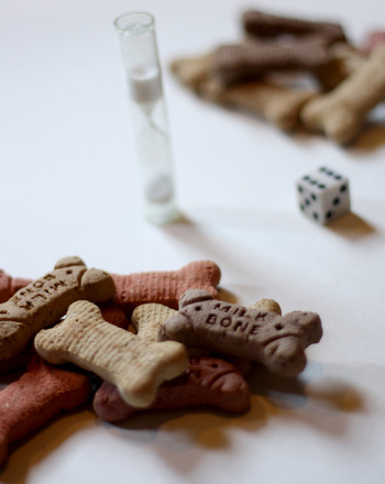 Give a Dog a Bone