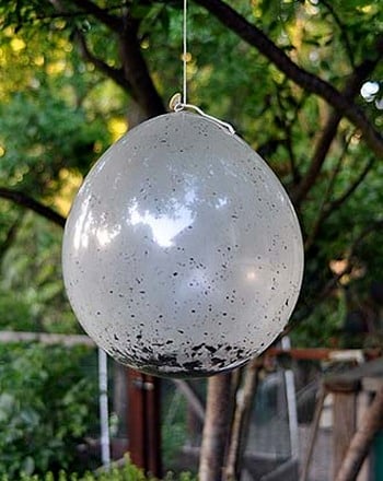 Balloon Greenhouse