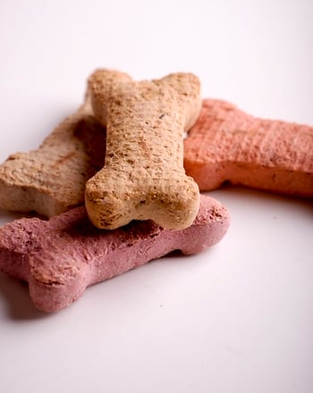 Homemade Dog Treats