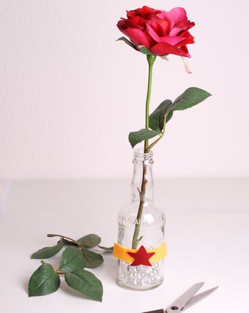 Glass Bottle Vases