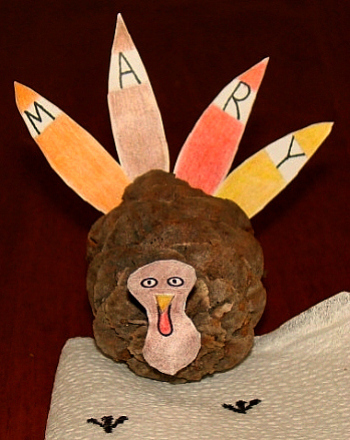 Pine Cone Turkey