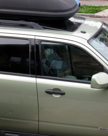 Guess the Distance: A Car Game