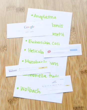 How Do Different Search Engines Work?