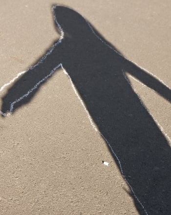Learn Shadow Science