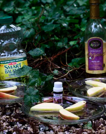 Cinnamon Bug Repellent: Sweet Relief?