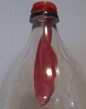 Balloon Trick