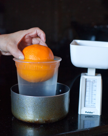 Sink or Swim: Calculating Density of Fruits and Vegetables