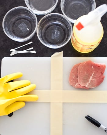 How do Disinfectants Work?