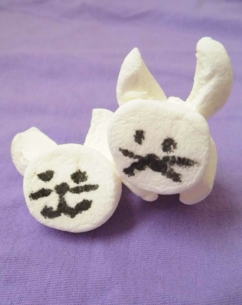 Marshmallow Bunny