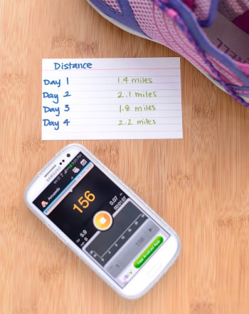 5th Grade Science Activities: An Average Day's Walk