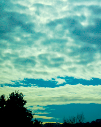 Get Your Head in the Clouds