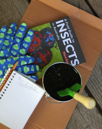 Using Garden Mulch to Make a Bug Zoo