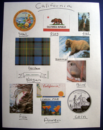 Make a State Symbol Collage