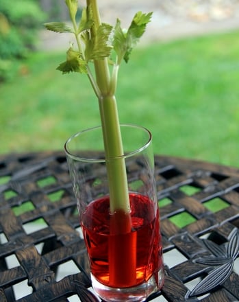 Celery and Food Coloring Experiment