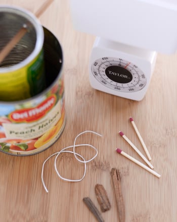 Is Horse Manure a Possible Energy Source in a Crisis?