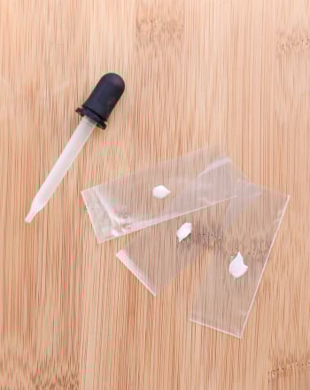 What Bacteria Can You Eat?