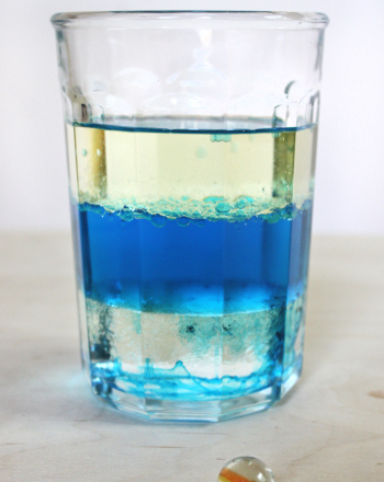 Density Experiment