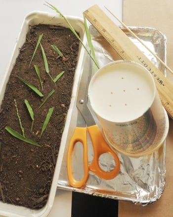 How to Prevent Erosion