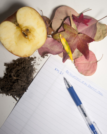 Decomposition Rates of Biodegradable Materials