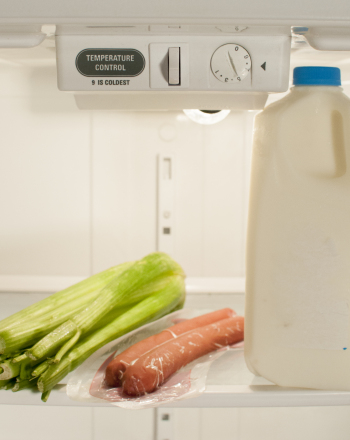 What is the Ideal Temperature Setting for Refrigerators?