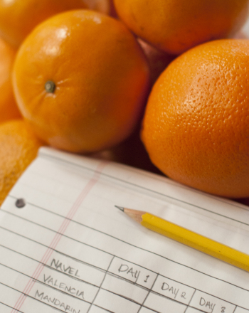 Does Skin Thickness Decrease Fruit Spoilage Rate?