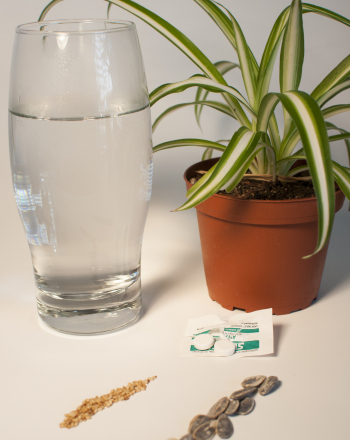 Does Aspirin Help Plants Grow?