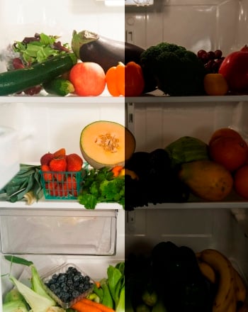 Does a Dark Fridge Prevent Food from Spoiling?